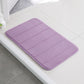 Absorbent Mat